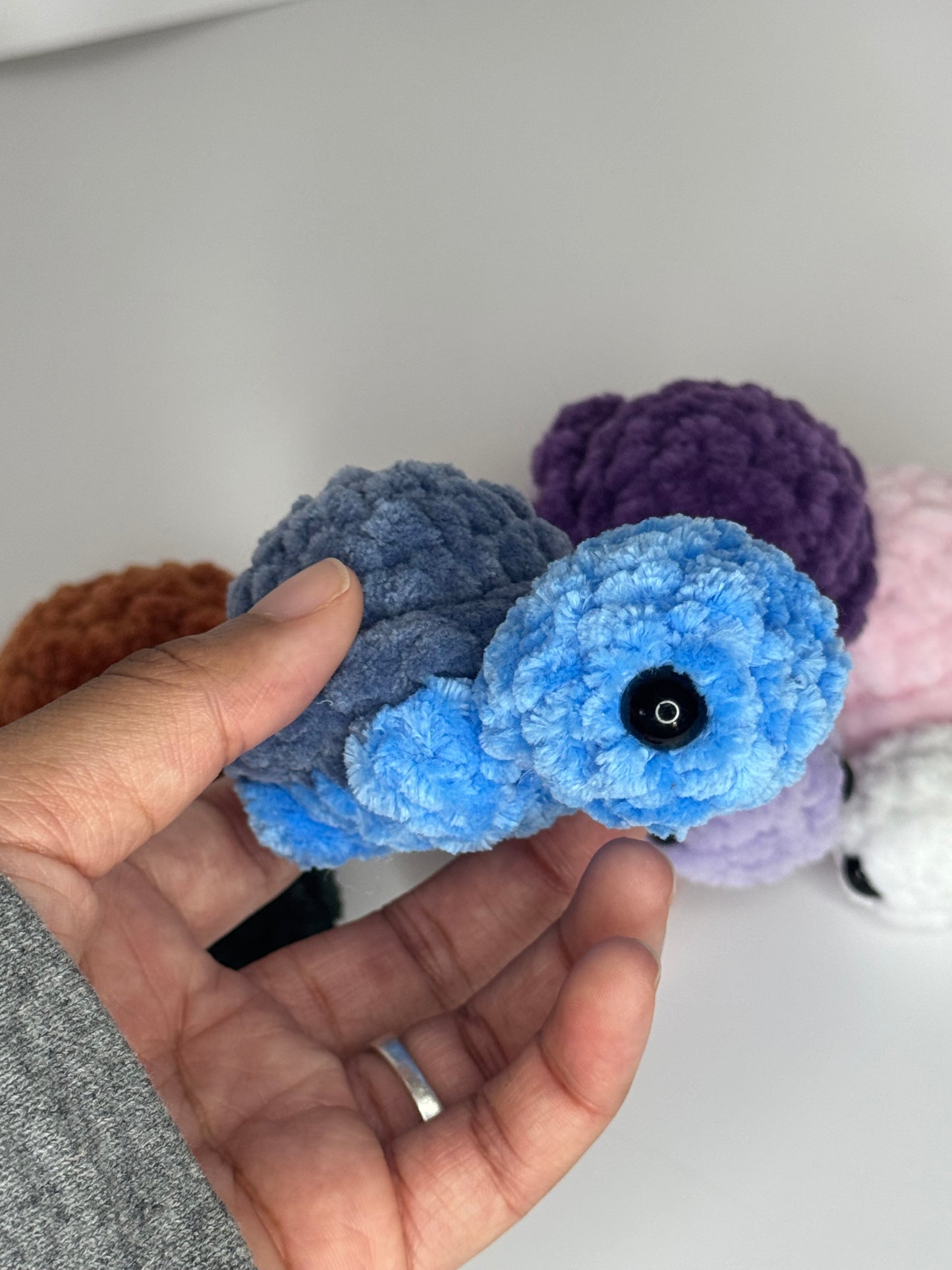 Tiny Turtles