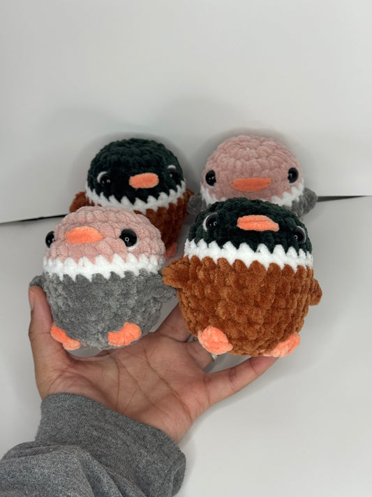 Duckies