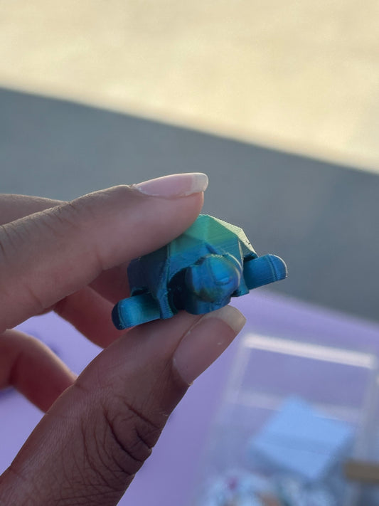3D Printed Mini Turtles